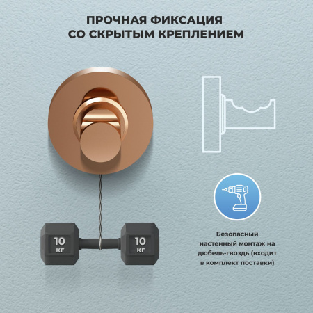 Крючок для полотенца/халата Wellsee Finishing Touch 182519000, розовое золото