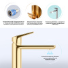 Смеситель для раковины Wellsee ICON! for life 182303000, золотой