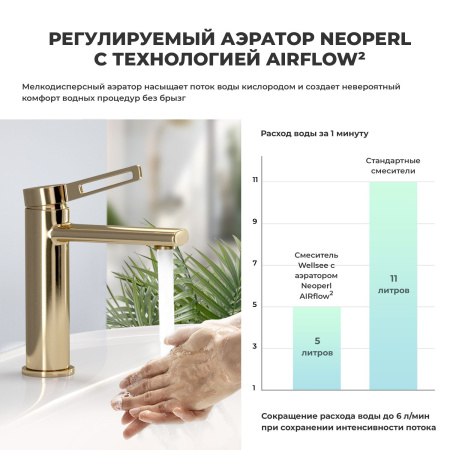 Смеситель для раковины Wellsee ONCE! and forever 182403000, золотой